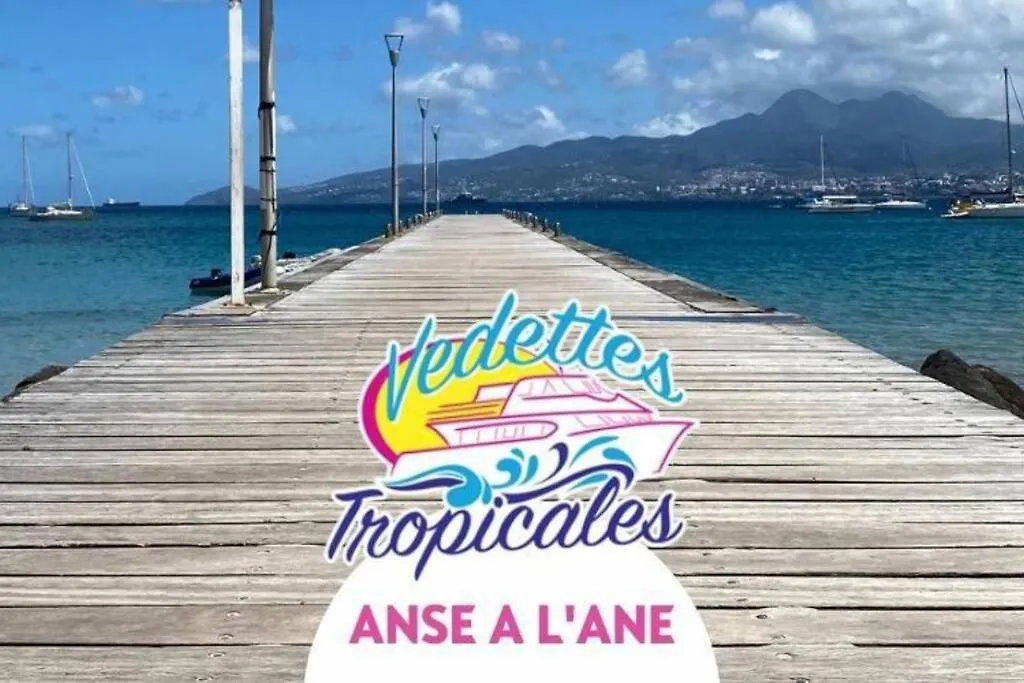 200M De La Plage Avec Piscine Les Trois-Ilets 0*,